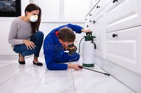 Emergency Pest Control Services in Texas City, TX